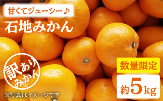 みかん 西海【 訳あり 】 石地みかん 約5kg  みかん ミカン 西海市 温州みかん 石地みかん 贈答 ギフト 家庭用 ＜中尾果樹園＞ [CEL006]