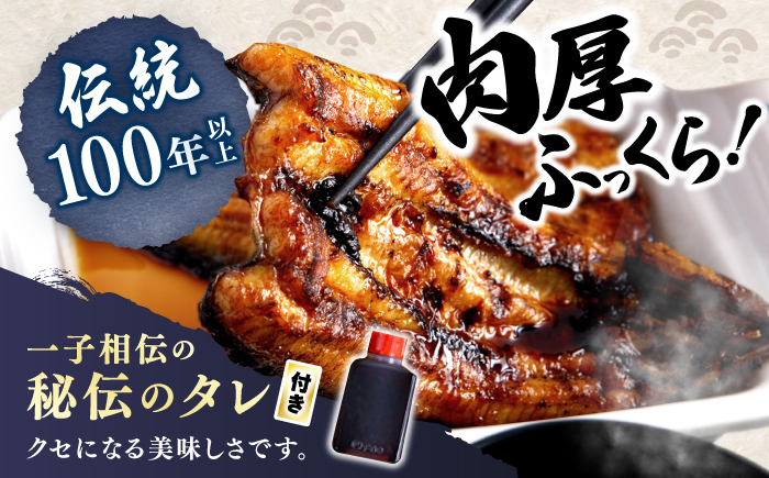 国産 うなぎ 蒲焼 冷蔵 180g×3尾 秘伝のタレ付き！ ＜入口屋＞ [CCA003] うなぎ 鰻 ウナギ 鰻の蒲焼 冷蔵 うなぎ 国産 お取り寄せ鰻 うなぎ 土用の丑の日 