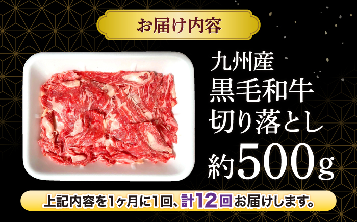 【12回定期便】長崎県産 黒毛和牛 切り落とし 約500g＜宮本畜産＞ [CFA052]