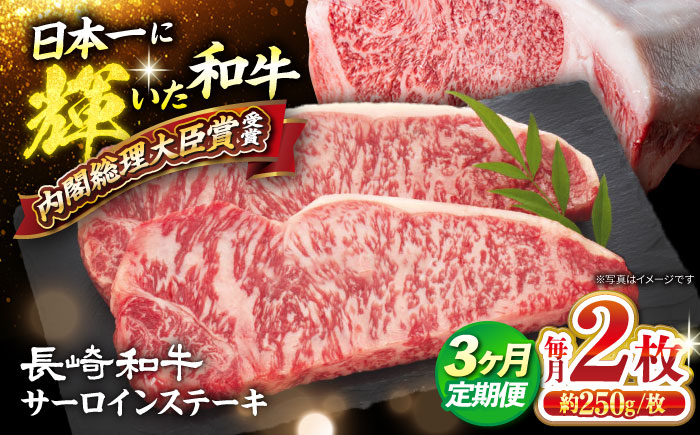 [3回定期便] 長崎和牛 サーロイン ステーキ 計500g(2枚)[大西海ファーム食肉加工センター] [CEK179] 長崎 西海 和牛 牛肉 サーロインステーキ 焼肉 BBQ 贈答 ギフト