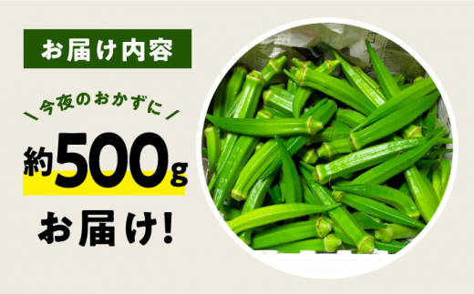 【朝採れ旬野菜】オクラ 約500g ＜パッパラパー農園＞ [CFI007]