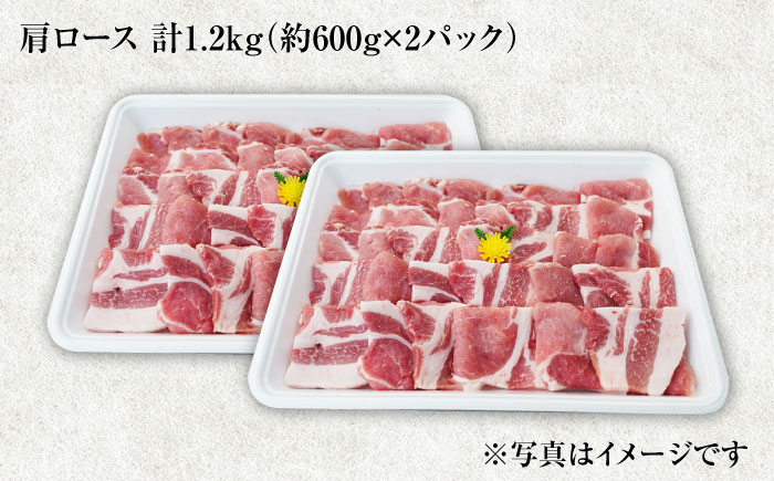【月1回1.2kg×6回定期便】大西海SPF豚 肩ロース（焼肉用） 訳あり ＜大西海ファーム＞ [CEK091]