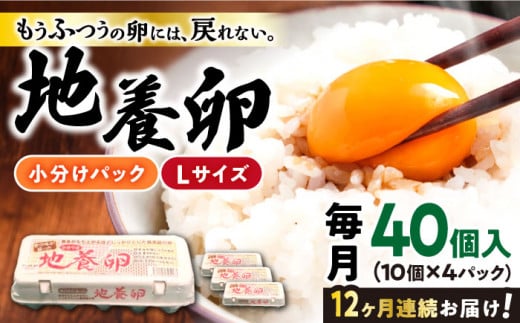 【12回定期便】最高級 卵 かきやまの「地養 卵 」 Lサイズ 40個 国産たまご たまご 卵 玉子 タマゴ 鶏卵 たまごやき 卵かけご飯 卵焼き たまご 西海市産 ＜垣山養鶏園＞ [CBB004]