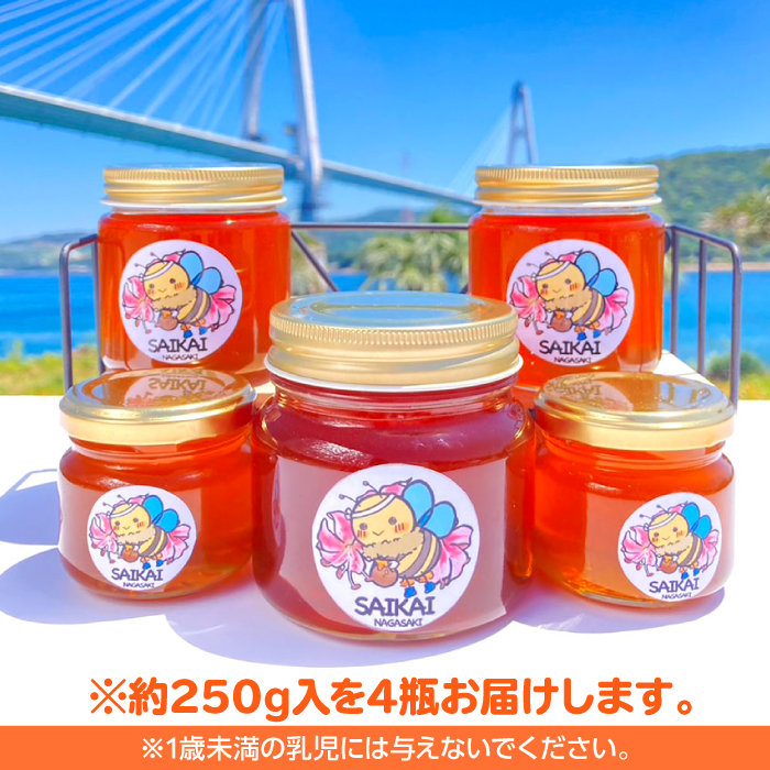 【希少な日本ミツバチ】　 国産 蜂蜜 約1kg（約250g×4瓶） ～西海からの贈り物～＜おばま養蜂農園＞ [CFY003]