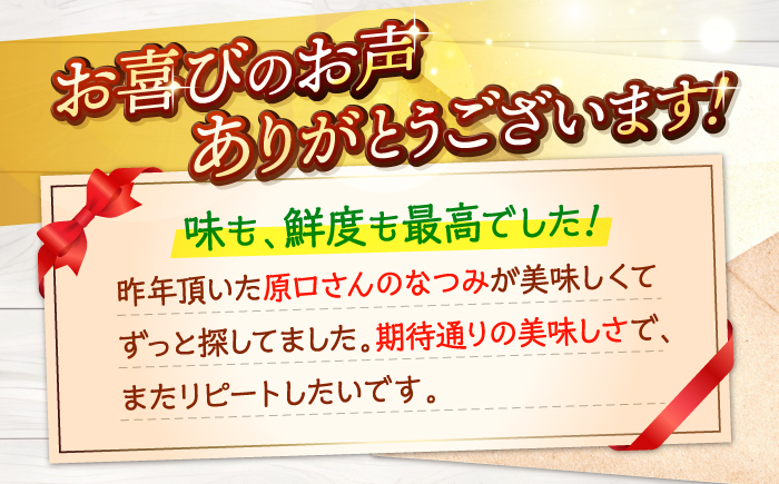 【☆先行予約☆】【数量限定】ハウス木成完熟 なつみ （ マンダリン ）約5kg＜原口果樹園＞ [CCW006] 長崎 西海 みかん ミカン 蜜柑 柑橘 5kg 贈答 ギフト 