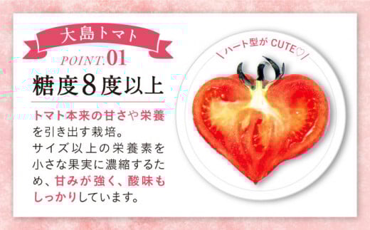 【3月中旬より配送開始】【3回定期便】【 訳あり 】 大島 トマト 約1.8kg ＜大島造船所 農産グループ＞ [CCK008] 長崎 西海 トマト とまと 大島トマト 高糖度 贈答 訳あり 不揃い 規格外 トマト 野菜 新鮮 人気 高評価 定期便