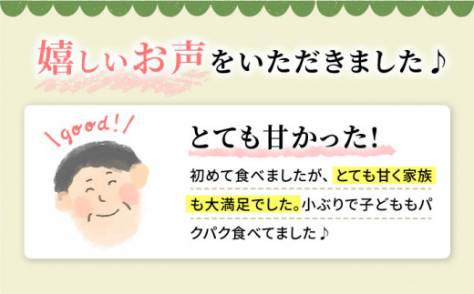 【数量限定】【訳あり】ロザリオビアンコ約2kg（4房～6房）＜岡本ぶどう園＞ [CEN002]