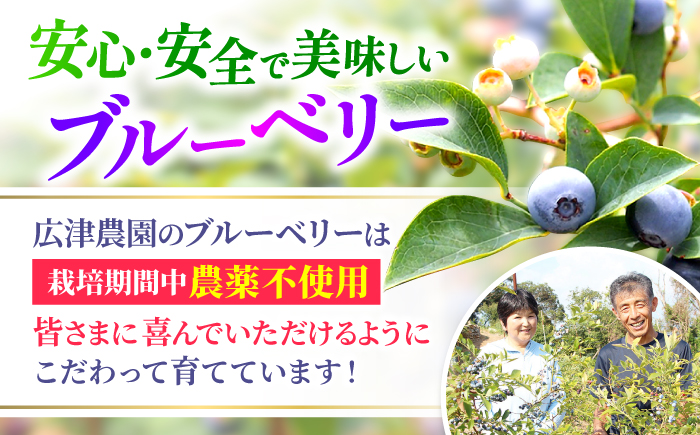 【2026年6月中旬より順次発送】完熟 生 ブルーベリー 計1kg（約500g×2パック） ＜広津農園＞ [CBN008] 冷蔵 栽培期間中 農薬不使用 ブルーベリー 果物 果実 冷蔵 生ブルーベリー ブルーベリー 西海市産