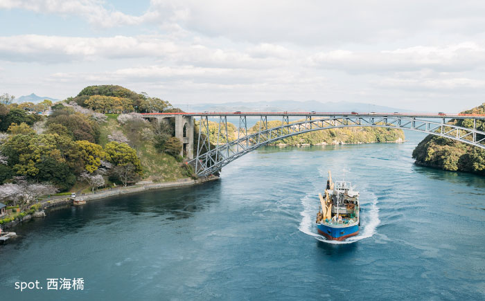 【返礼品なし】 長崎県 西海市 ふるさと応援寄附金（500,000円分） [CZZ039]