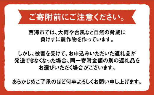 【びっくり大粒】こだわりの逸品、北海道広尾町の昆布仕込み！さいかいらっきょ艶づけ（甘酢漬け）1.2kg（600g×2P）＜道の駅さいかい みかんドーム＞ [CAI019]