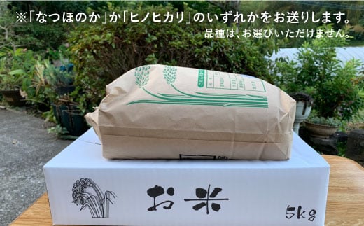 【先行予約☆数量限定】令和6年産新米！ 白米 （ なつほのか or ヒノヒカリ ） 5kg  白米 米 新米 5kg ひのひかり ＜夢農園 モリピー＞ [CEJ001]