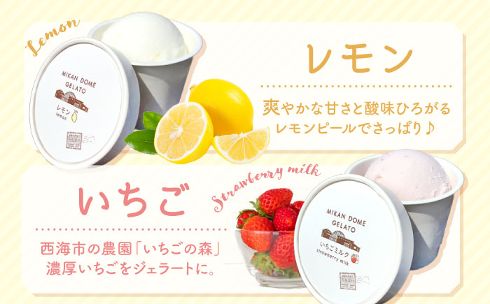 【年中人気】【12回定期便】 おまかせジェラート  8個 ＜みかんドーム＞ [CAI033]