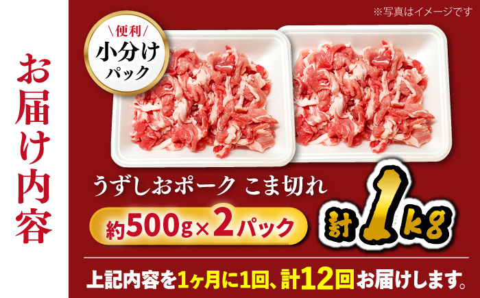【12回定期便】【使い勝手◎】長崎うずしおポーク こま切れ 計1kg（500g×2P）＜スーパーウエスト＞ [CAG313]