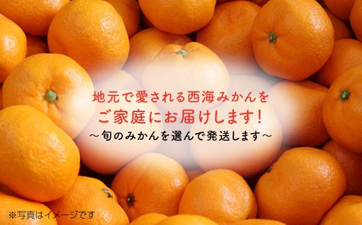 【先行予約】【品種はおまかせあれ♪】ご家庭用みかん約10kg＜かわはら＞ [CAD004]