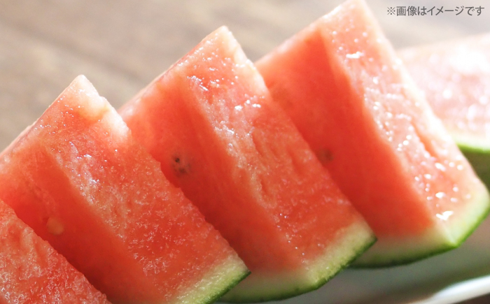 すいか【先行予約：2026年6月中旬より配送】 羅皇2玉 （1玉当たり6〜8kg） ＜武藤農園＞ [CFV007] 甘い 大玉 旬 ギフト プレゼント フルーツ 夏 スイカ すいか 先行予約 2026年 長崎県 西海市 