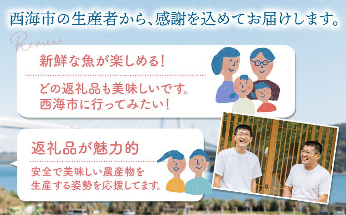 【3回定期便】海の幸〜見つけた！西海の宝物 定期便 〜 [CZZ026]  長崎 西海 魚 海の幸 海鮮 加工品 うなぎ 海鮮丼 贈答 ギフト