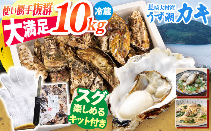 カキ 牡蠣 【着日指定可☆オゾン水で24時間浄化】【冷蔵】 うず潮 カキ 約10kg（約100〜160個） 牡蠣 カキ 生牡蠣 生ガキ 殻つき 冷蔵 西海 長崎 贈答 ギフト 日時指定可  ＜西彼町漁協＞［CBZ003］