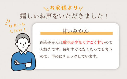 【先行予約☆限定150箱】【 訳あり 】西海１号（ 温州みかん ） 約10kg （優品/Mサイズ）＜西海柑橘農業協同組合＞［CCF001］