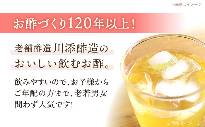 【飲むお酢】 【12回定期便】ハーブ酢らり 柚子ジンジャー 3本セット＜川添酢造＞ [CDN076]