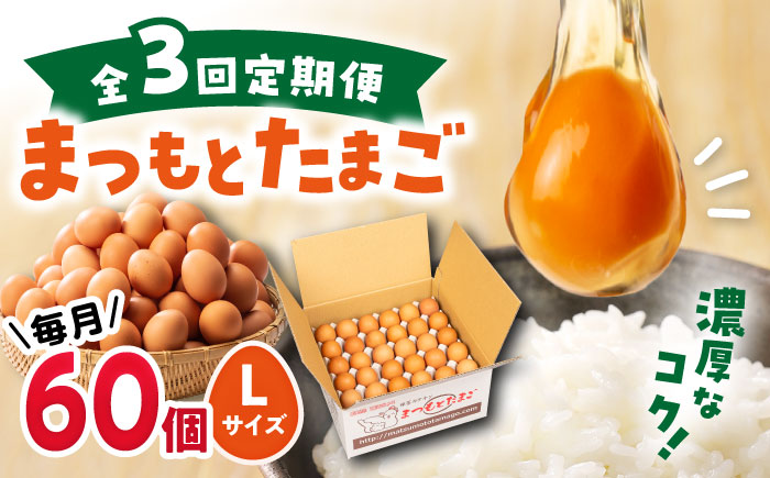 【3回定期便】 まつもとたまご  Lサイズ 赤玉 60個 ＜松本養鶏場＞[CCD006]