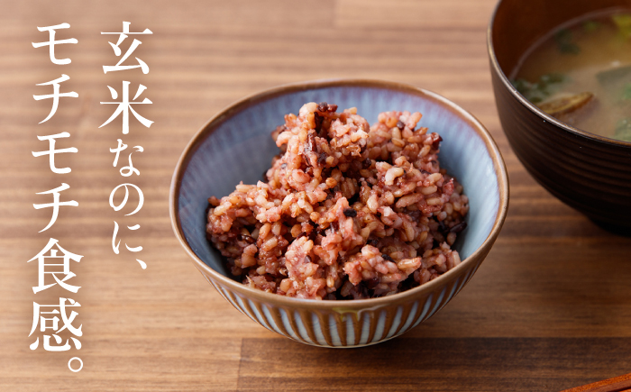 【3回定期便】【農家のこだわり米】黄金の発芽玄米 黒米入り 125g×7食＜AgriBaseさいかい＞ [CGV003]