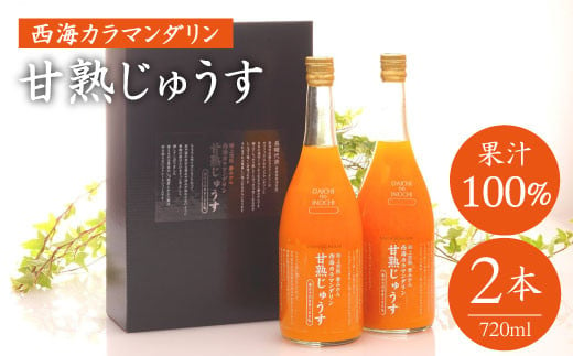 【限定50セット】無添加！果汁100％！西海カラマンダリン 甘熟じゅうす（レギュラー）720ml×2本＜大地のいのち＞ [CDA006]