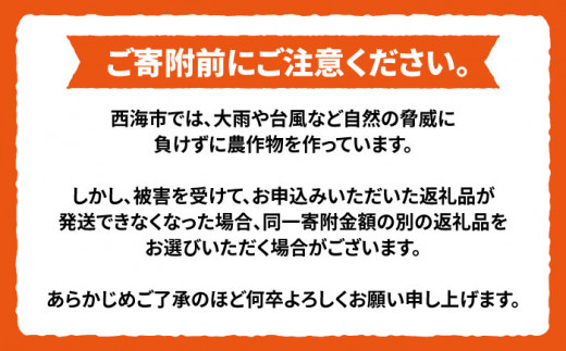 【先行予約☆贈答にもオススメ】「西の恵」 原口みかん 約 3kg ＜ファームまるだ＞ [CDT005] 長崎 西海 蜜柑 果物 柑橘 デザート 温州みかん おやつ お土産 プレゼント 贈答 ギフト みかん