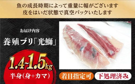 ブリ 【着日指定可】刺身 ブロック 「光鰤」半身 1.4～1.5kg 西海市産 魚 ブロック 刺身 ブリ ぶり ブリしゃぶ 鰤 ブリ ＜小山水産＞ [CDZ001]