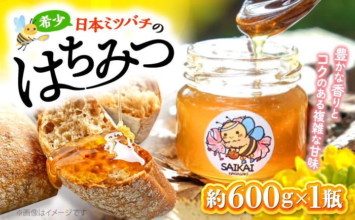 【希少な日本ミツバチ】 国産 蜂蜜 約600g ～西海からの贈り物～＜おばま養蜂農園＞ [CFY001]  長崎 西海 蜂蜜 はちみつ ハチミツ 蜂蜜 はちみつ ハチミツ 国産蜂蜜 