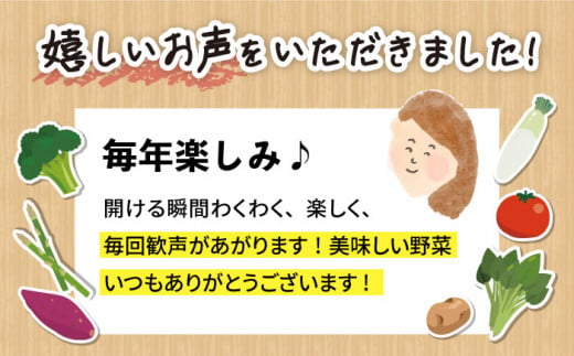 野菜 詰め合わせ（5種以上） 西海 野菜 詰め合わせ 旬 新鮮 採れたて ＜西海町特産品直売所 よかところ＞ [CBO003]