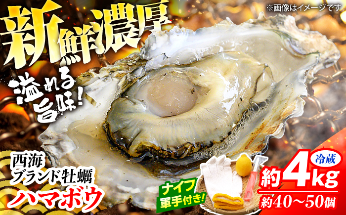 牡蠣 カキ 【着日指定可】西海 ブランド 牡蠣 「 ハマボウ 」 約4kg（40〜50個）（中〜大サイズ） カキ 牡蠣 生ガキ 4kg 日時指定 冷蔵 牡蠣 カキ 牡蠣 ＜ハマフジ水産＞ [CES006]