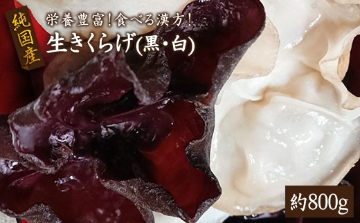 【1%以下の超希少！】純国産　生きくらげ（黒・白）約800ｇ（とれたてご家庭用）＜かわはら＞ [CAD001]