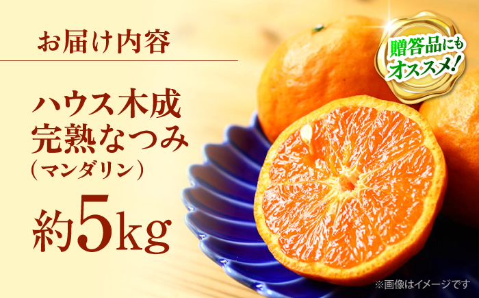 【☆先行予約☆】【数量限定】ハウス木成完熟 なつみ （ マンダリン ）約5kg＜原口果樹園＞ [CCW006] 長崎 西海 みかん ミカン 蜜柑 柑橘 5kg 贈答 ギフト 