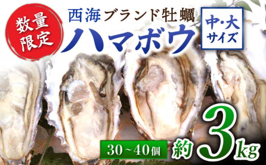 【着日指定可】 西海ブランド 牡蠣 「 ハマボウ 」 約3kg（30〜40個）（中〜大サイズ）＜ハマフジ水産＞ [CES010]