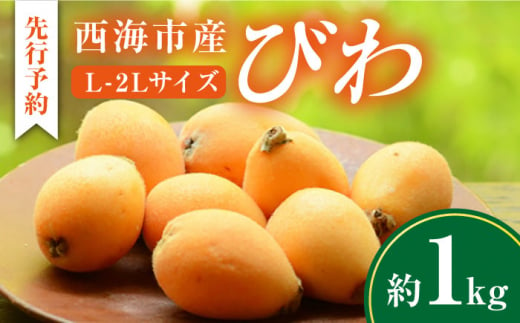 【先行予約】 西海市産 びわ 約1kg L～2Lサイズ 西海市産 びわ ビワ 琵琶 果物 フルーツ 果実 ＜パッパラパー農園＞ [CFI002]