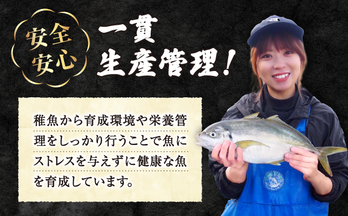 【☆数量限定☆】 ふぐてっさ ・ てっちり 鍋 セット 2人前 ＜大島水産種苗＞ [CBW017]