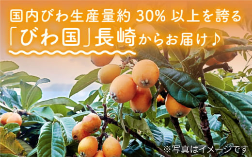 びわ 2Lサイズ 24玉（約1kg～1.5kg）  西海市 びわ ビワ 果物 フルーツ 2Lサイズ ＜代田浩人＞ [CEO001]