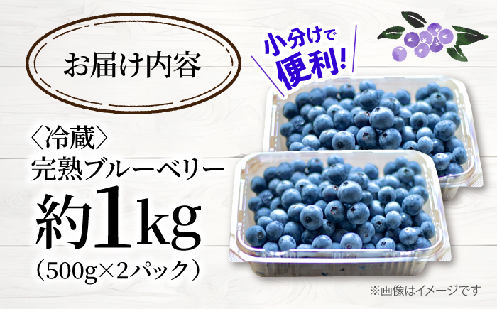 【2026年6月中旬より順次発送】完熟 生 ブルーベリー 計1kg（約500g×2パック） ＜広津農園＞ [CBN008] 冷蔵 栽培期間中 農薬不使用 ブルーベリー 果物 果実 冷蔵 生ブルーベリー ブルーベリー 西海市産