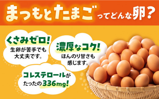 【6回定期便】 まつもとたまご  Lサイズ 赤玉 60個 ＜松本養鶏場＞[CCD007]