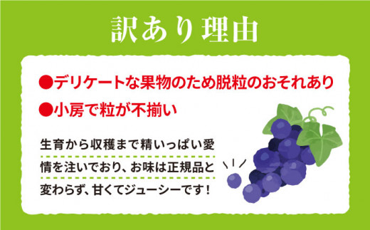 【数量限定】【訳あり】ロザリオビアンコ約2kg（4房～6房）＜岡本ぶどう園＞ [CEN002]