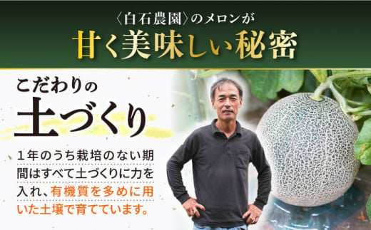 タカミ メロン 【先行予約】 2玉 (合計約3.7kg～3.9kg) メロン めろん 果物 フルーツ 長崎 西海市 贈答 ギフト ＜白石農園＞ [CBI001]