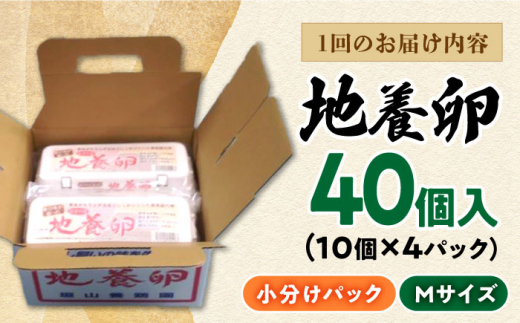 【12回定期便】最高級 卵 地養卵 Mサイズ 40個×12回定期 長崎県産 西海市 たまご 卵 玉子 タマゴ 鶏卵 オムレツ 卵かけご飯 朝食 料理 人気 卵焼き＜垣山養鶏園＞ [CBB020]