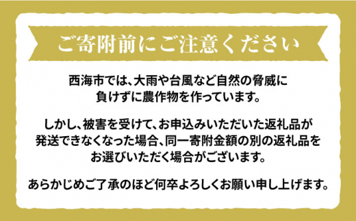 【 令和5年産 新米 ☆先行予約】【3回定期便】【木村式自然栽培】 白米 くまみのり 約 20kg ＜ハマソウファーム＞ [CBR017]