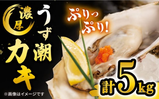 牡蠣 カキ 【着日指定可☆オゾン水で24時間浄化】【冷蔵】 うず潮 カキ 約5kg（約50～80個） 牡蠣 カキ 生牡蠣 生ガキ 殻つき 冷蔵 西海 長崎 贈答 ギフト 日時指定可  ＜西彼町漁協＞［CBZ002］