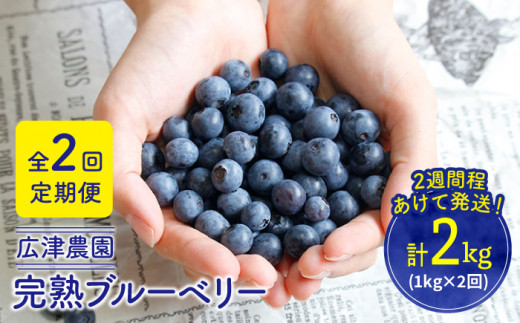 【全2回定期便】【栽培期間中農薬不使用】 完熟 ブルーベリー 1kg×2回定期便（計2kg）＜広津農園＞ [CBN010]