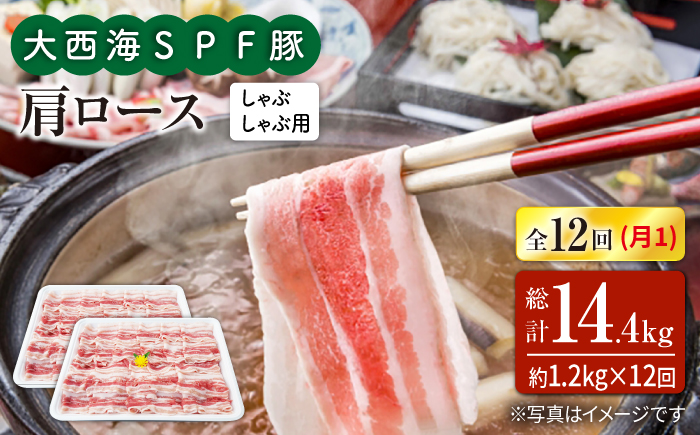 【月1回約1.2kg×12回定期便】大西海SPF豚 肩ロース（しゃぶしゃぶ用） 訳あり ＜大西海ファーム＞ [CEK126]