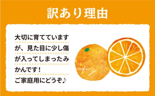 みかん 西海市 【 訳あり 】 原口みかん 約5kg  みかんミカン 西海市 温州みかん 原口みかん 贈答 ギフト 家庭用 ＜中尾果樹園＞ [CEL007]