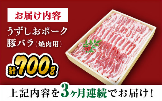 【訳あり】【3回定期便】焼肉用 長崎うずしおポーク 豚バラ（ 焼肉 用）700g 長崎 豚 豚肉 焼き肉 バラ BBQ ブランド豚 ＜スーパーウエスト＞[CAG020]