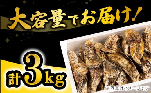 カキ 牡蠣 【着日指定可☆オゾン水で24時間浄化】【冷蔵】うず潮 カキ 約3kg（約30～50個） 牡蠣 カキ 生牡蠣 生ガキ 殻つき 冷蔵 西海 長崎 贈答 ギフト 日時指定可 ＜西彼町漁協＞［CBZ001］