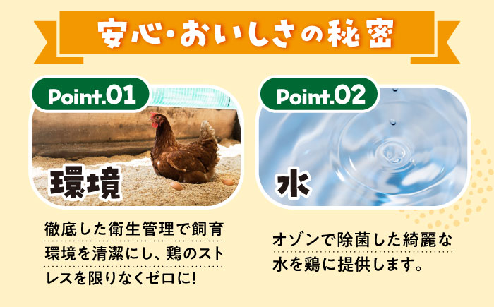 まつもとたまご Lサイズ 赤玉 160個 ＜松本養鶏場＞[CCD013]